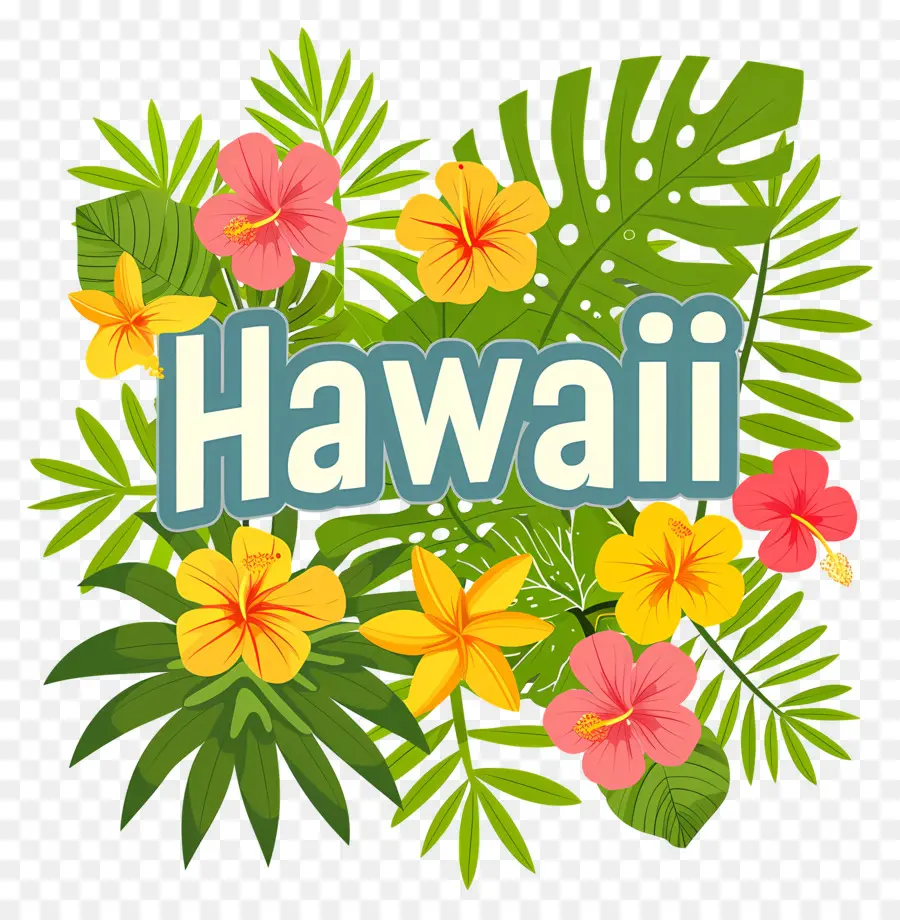 Hawaii，Fleur PNG