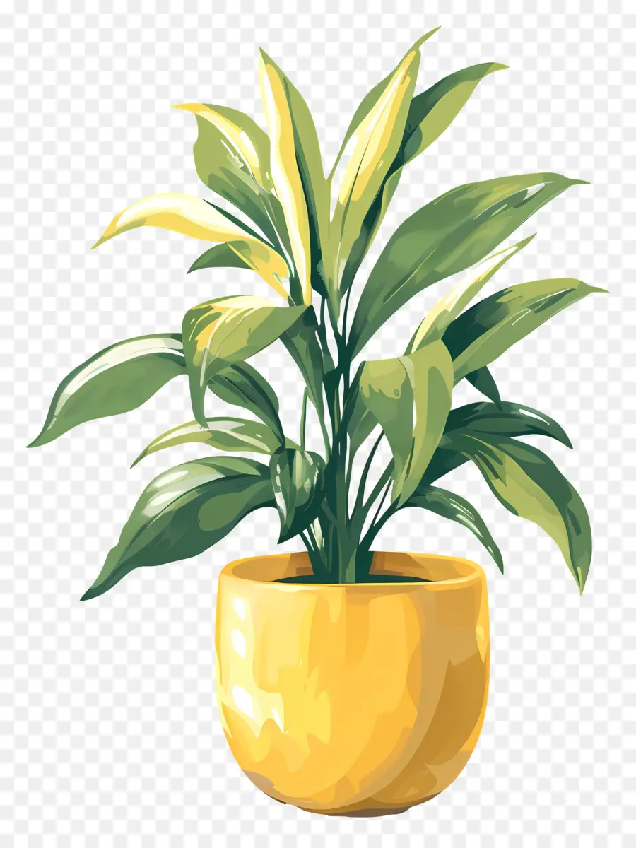 Plante D'intérieur，Plante En Pot PNG