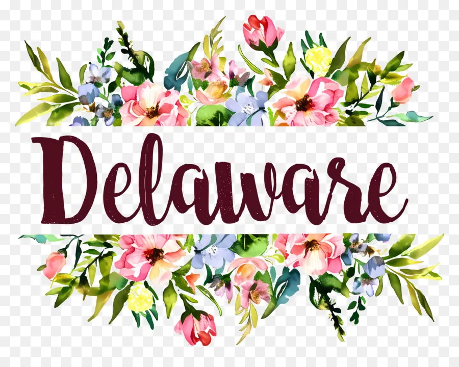 Delaware，Bouquet PNG