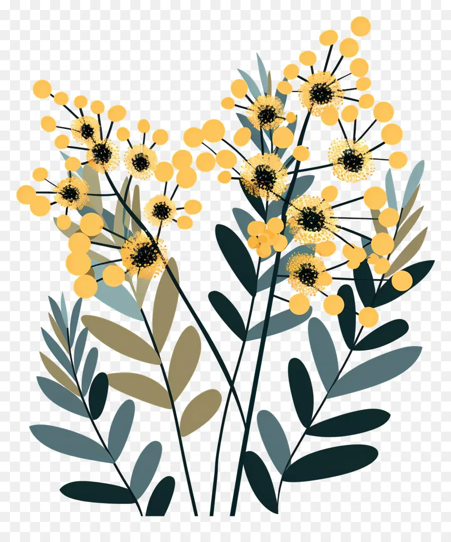 Des Fleurs De Mimosa，Fleurs Jaunes PNG