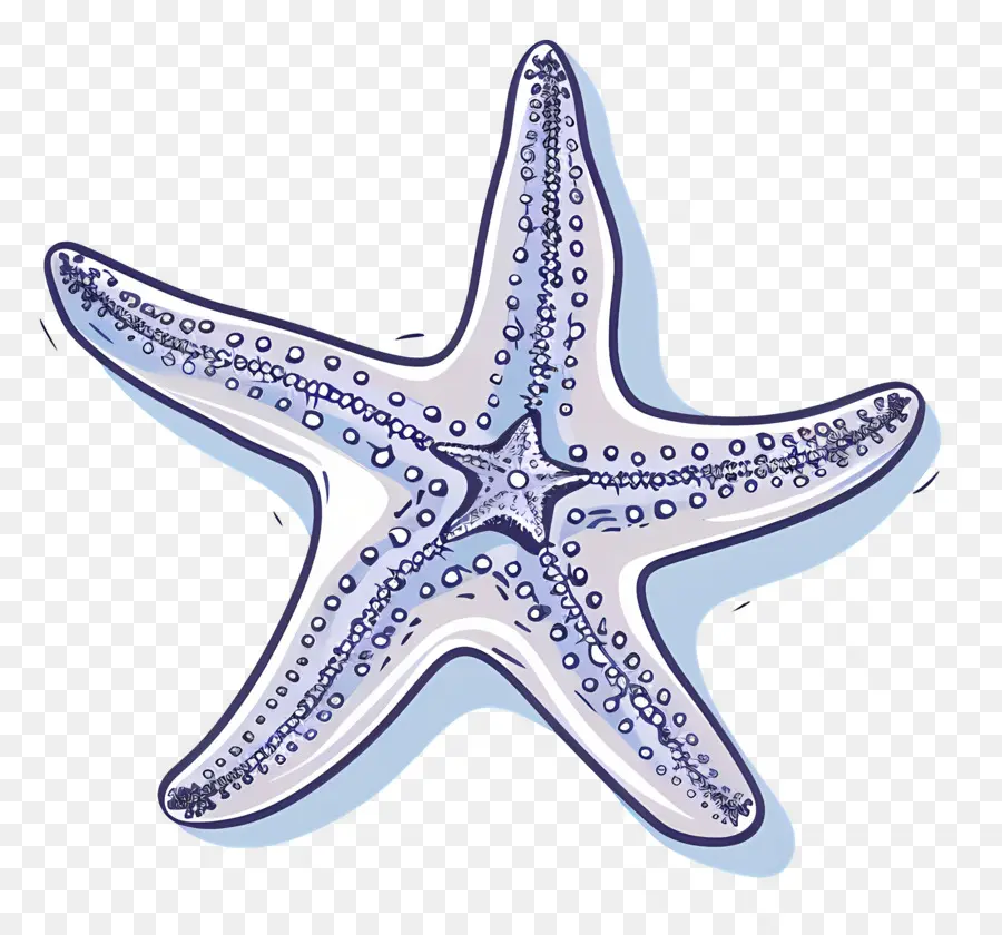 étoile De Mer，Étoile De Mer Orange PNG