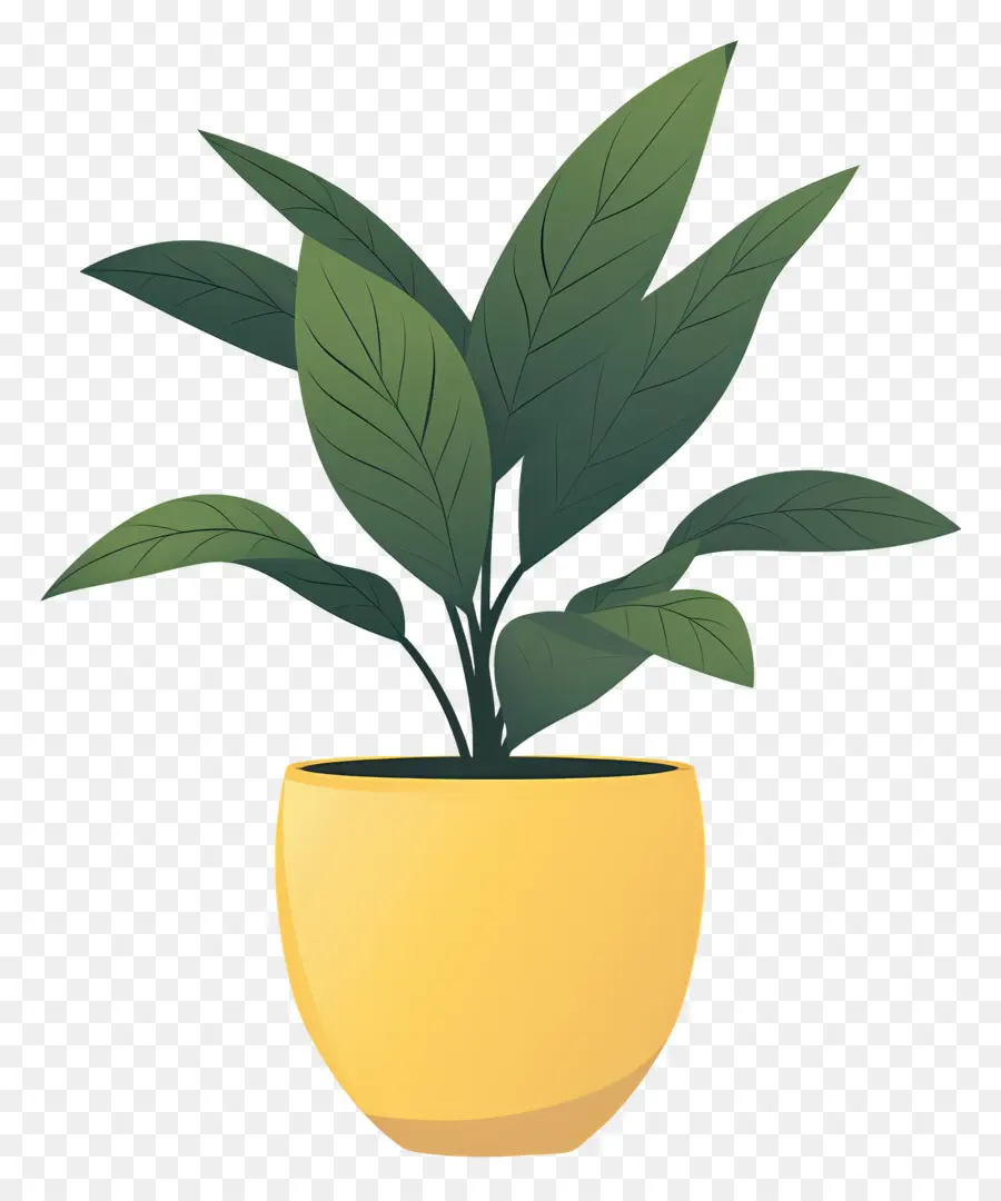 Plante D'intérieur，Plante En Pot Jaune PNG