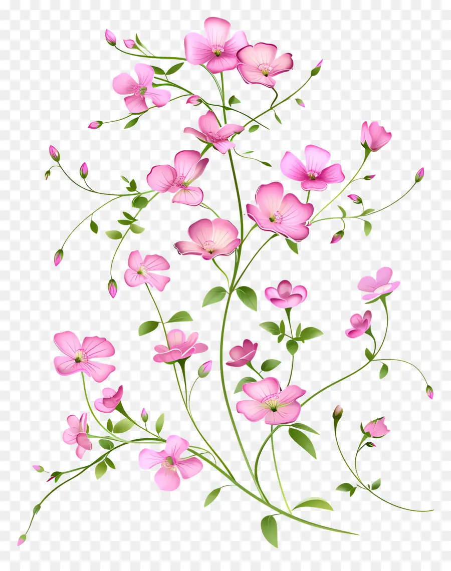 Fleurs Roses，Fleurir PNG