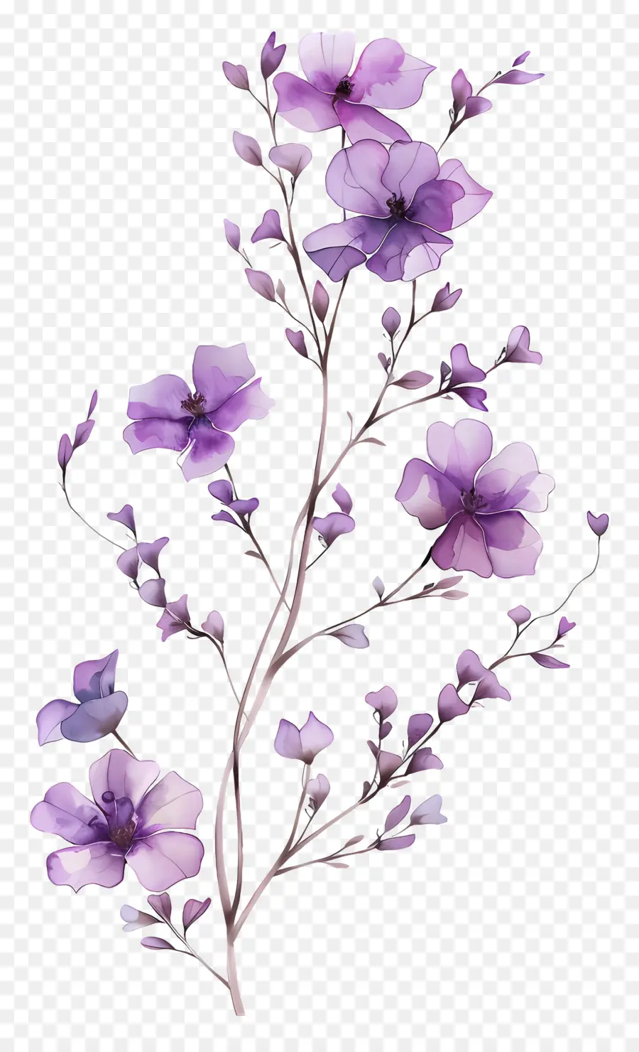 Fleurs Violettes，Fleurir PNG