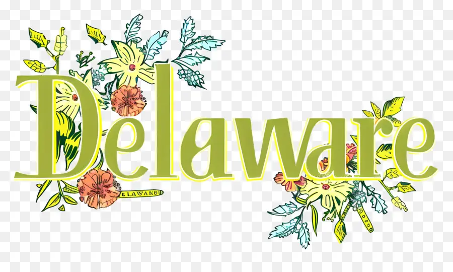 Delaware，Design Floral PNG