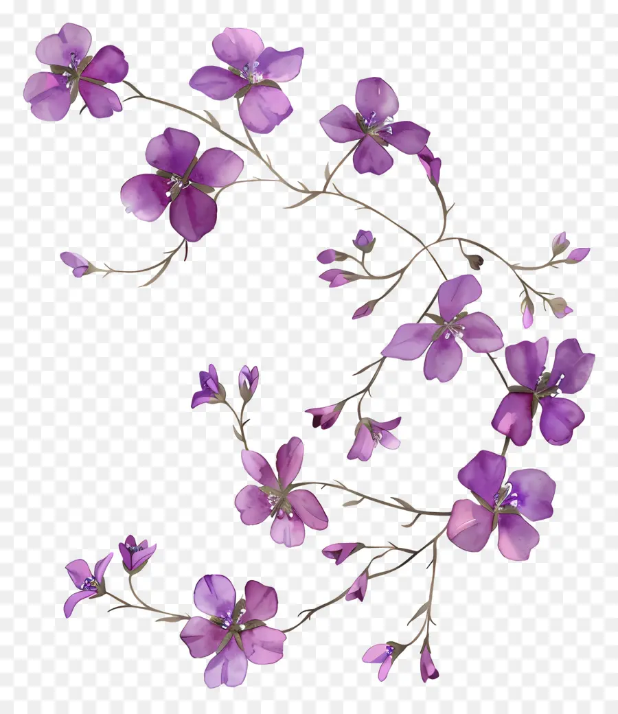 Fleurs Violettes，Fleurir PNG