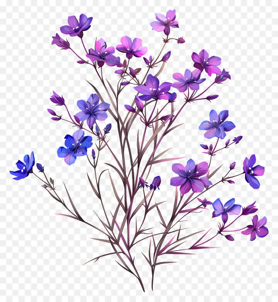 Fleurs Violettes，Tiges PNG