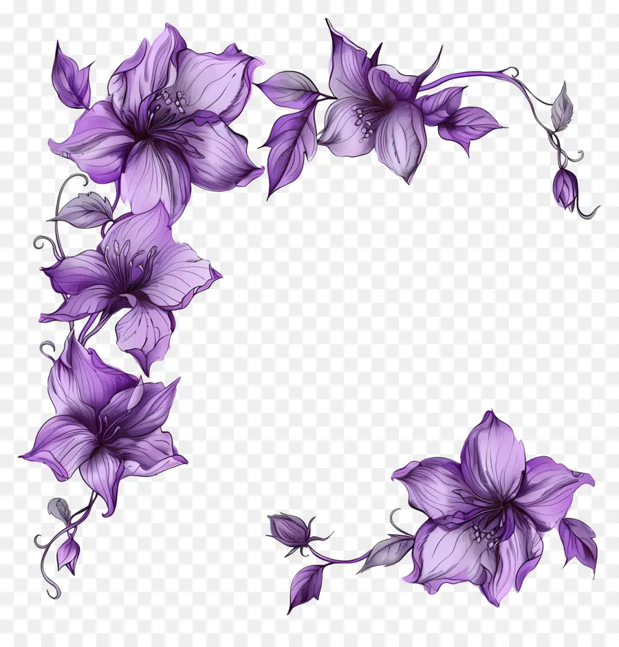 Cadres De Fleurs Violettes，Bouquet Floral PNG