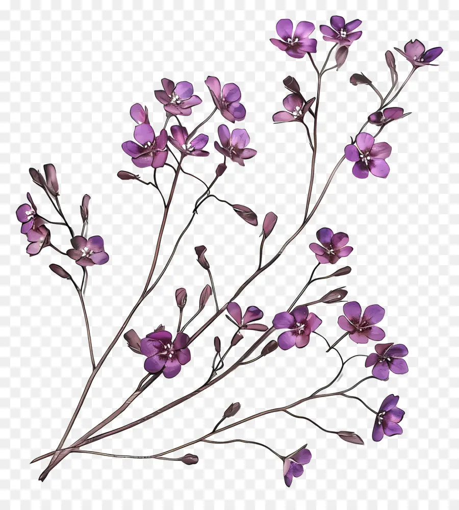 Fleurs Pourpres，Fleurs Roses PNG