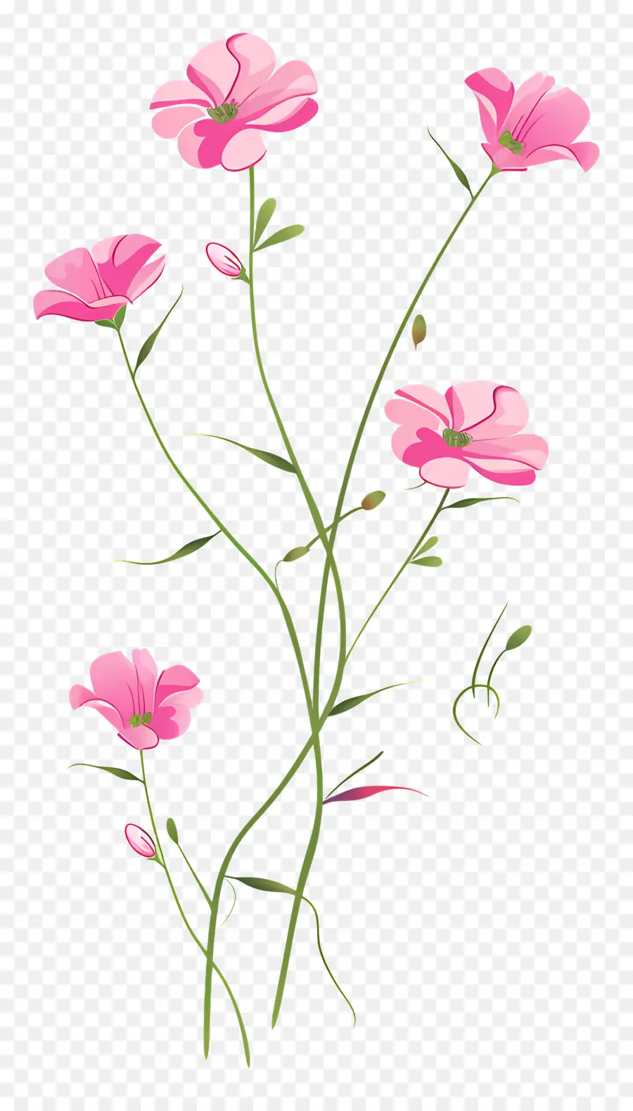 Fleurs Roses，Fleurs PNG