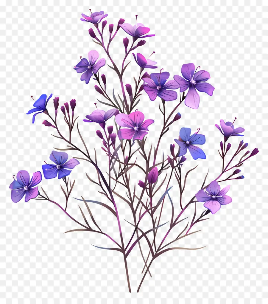 Fleurs Violettes，Tiges PNG