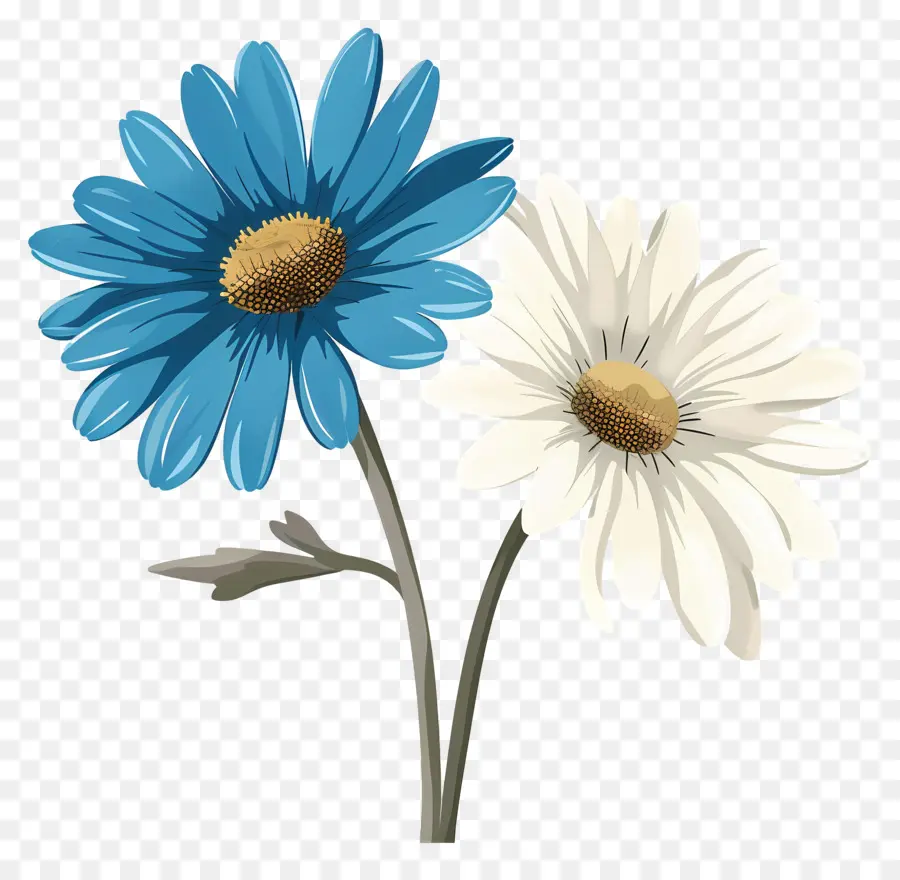 Fleur De Marguerite，Fleur Bleue PNG