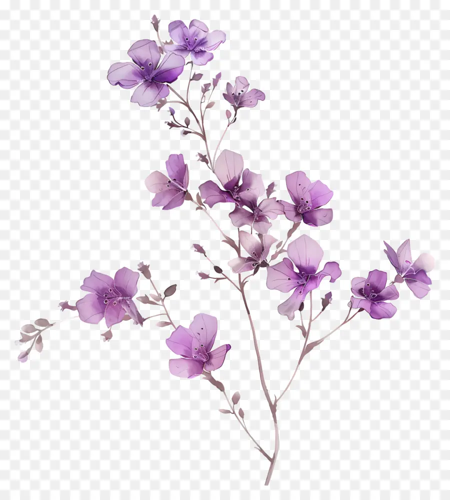 Fleurs Violettes，Fleurir PNG