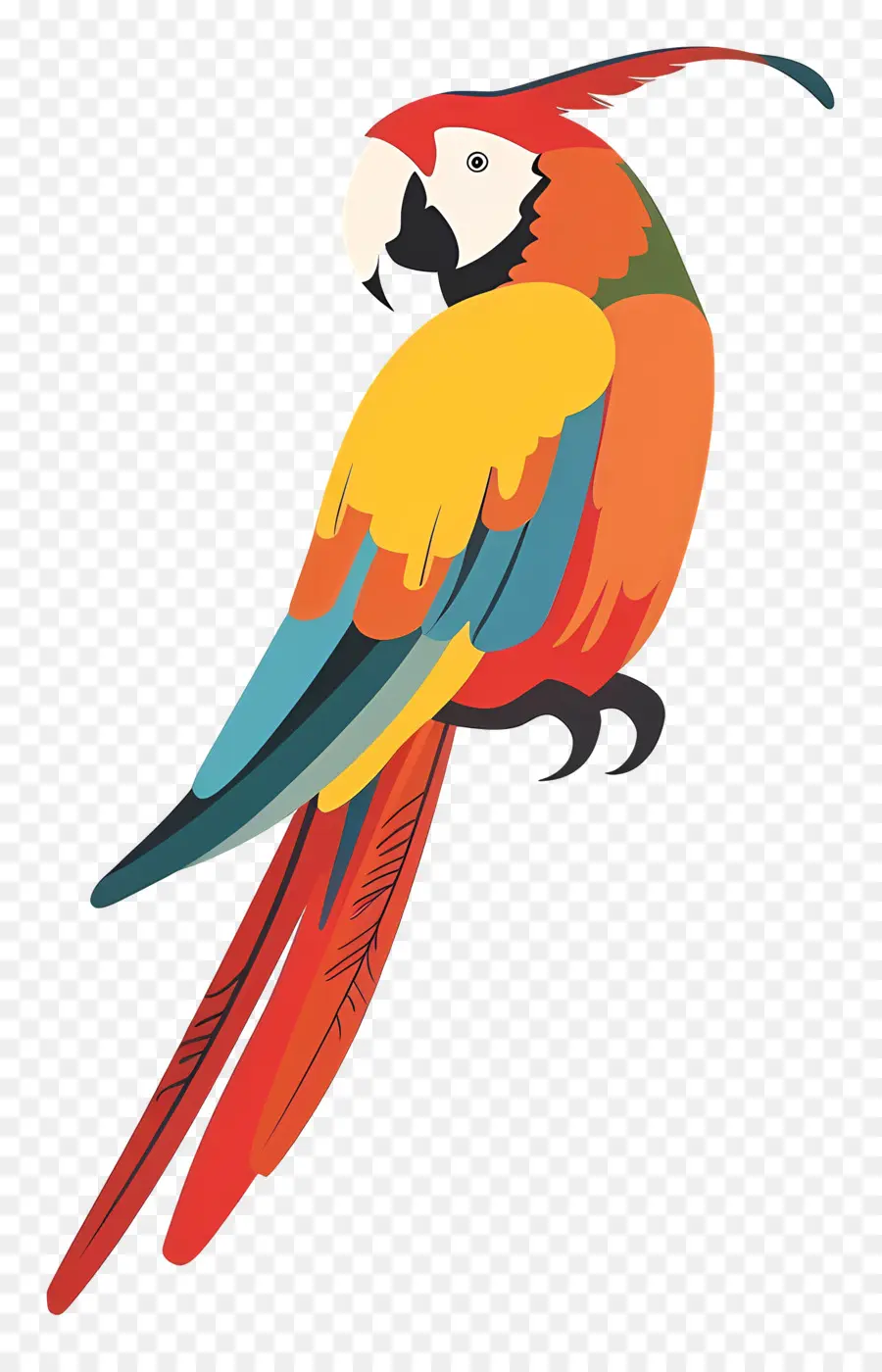 Ara，Coloré Parrot PNG