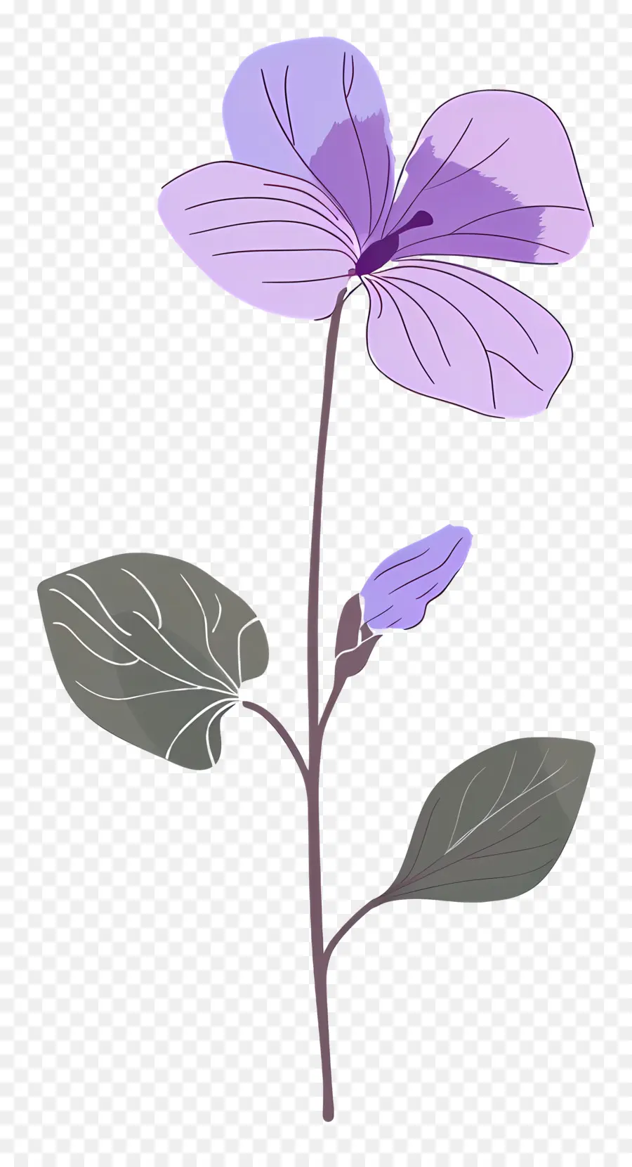 Fleur Violette，Pétales PNG