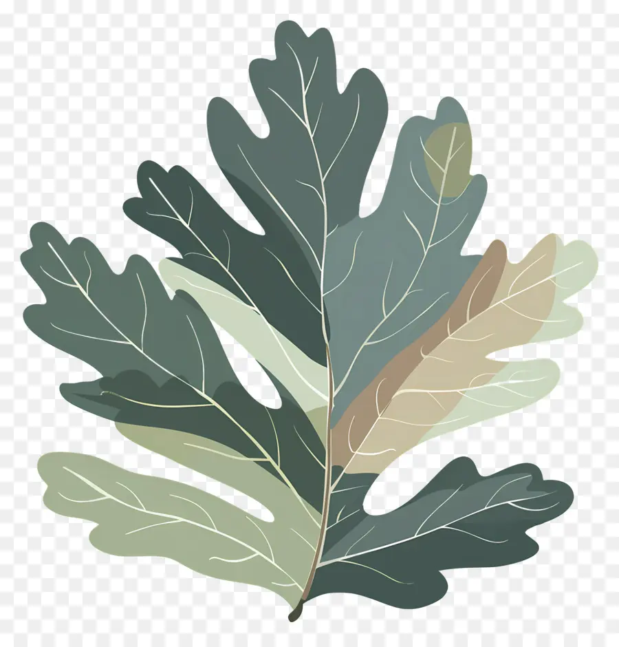 Feuille De Chêne，Feuille PNG