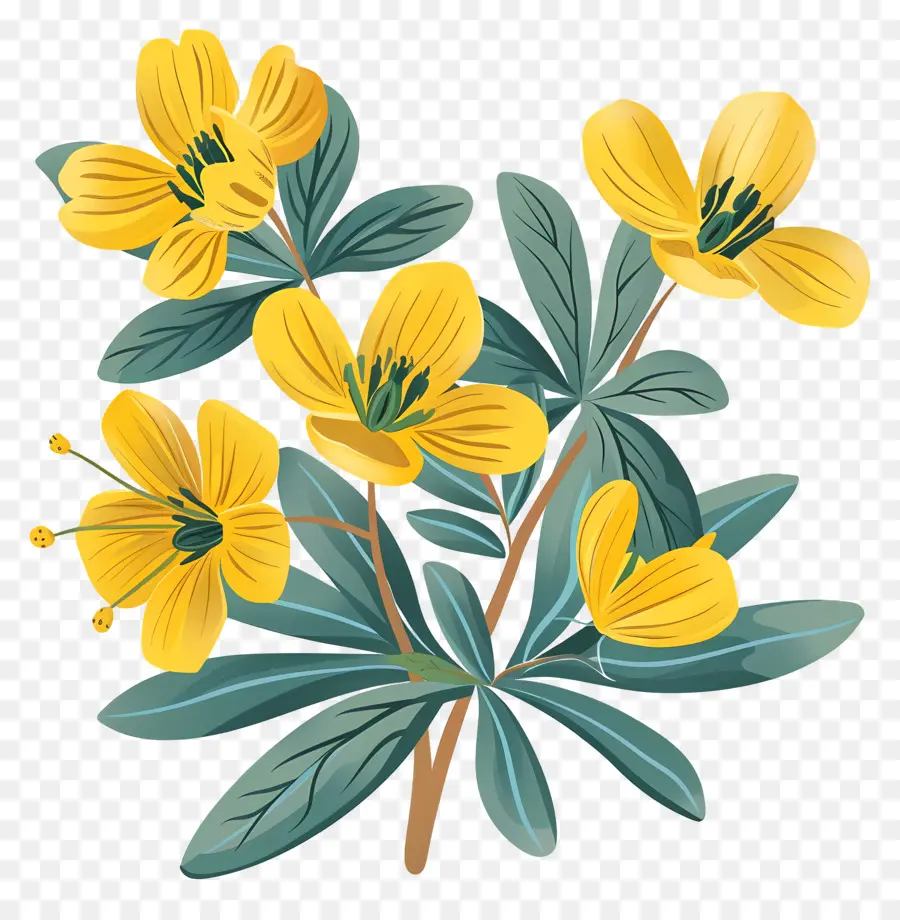 Aconit D'hiver，Fleurs Jaunes PNG