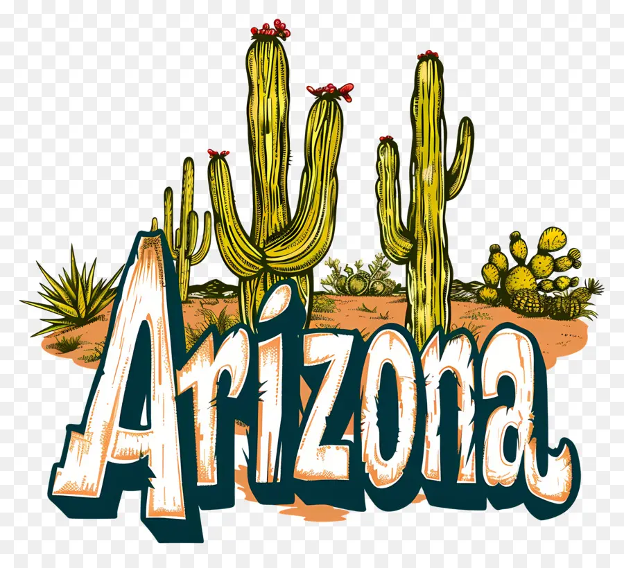 Arizona，Cactus PNG