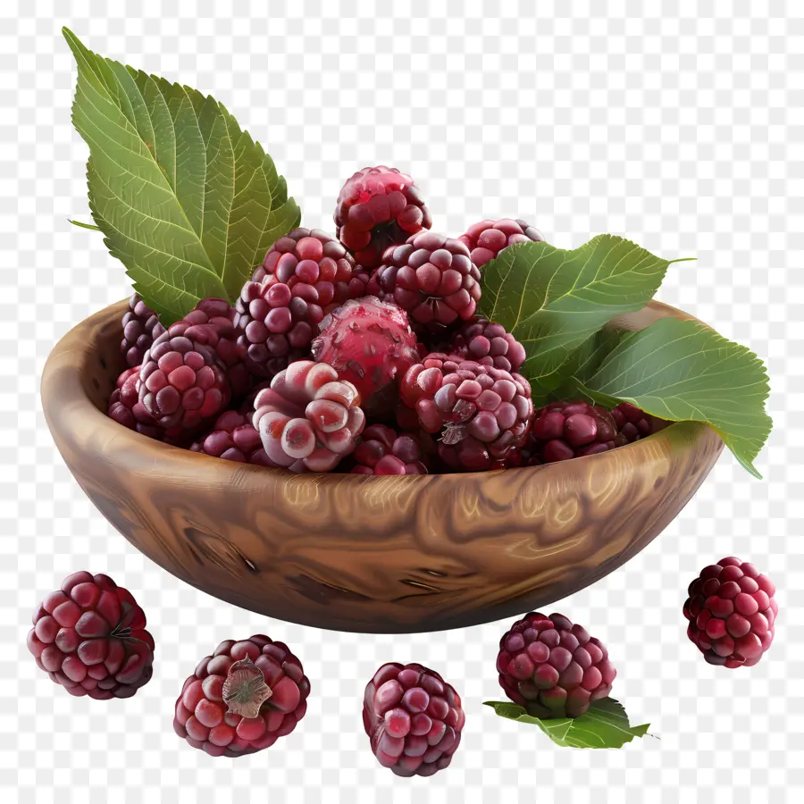 Mulberry，Framboises PNG
