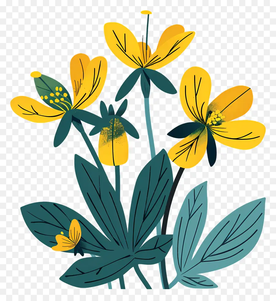 Aconit D'hiver，Fleurs Jaunes PNG