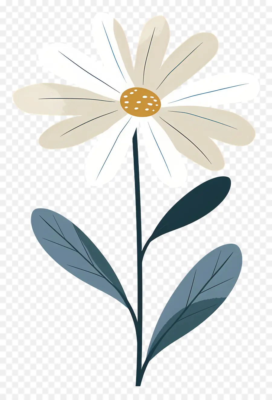 Marguerite Blanche，Fleur Jaune PNG