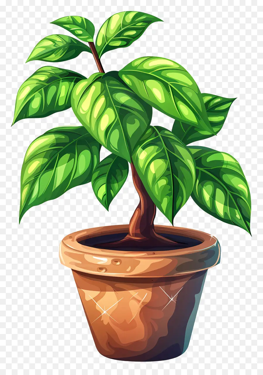 Plante，Plante En Pot PNG
