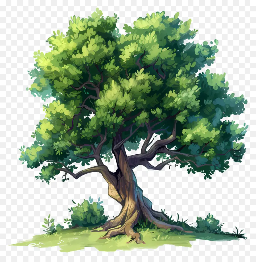 Arbre，Feuilles PNG