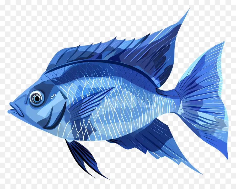 Poisson，Poisson Bleu PNG