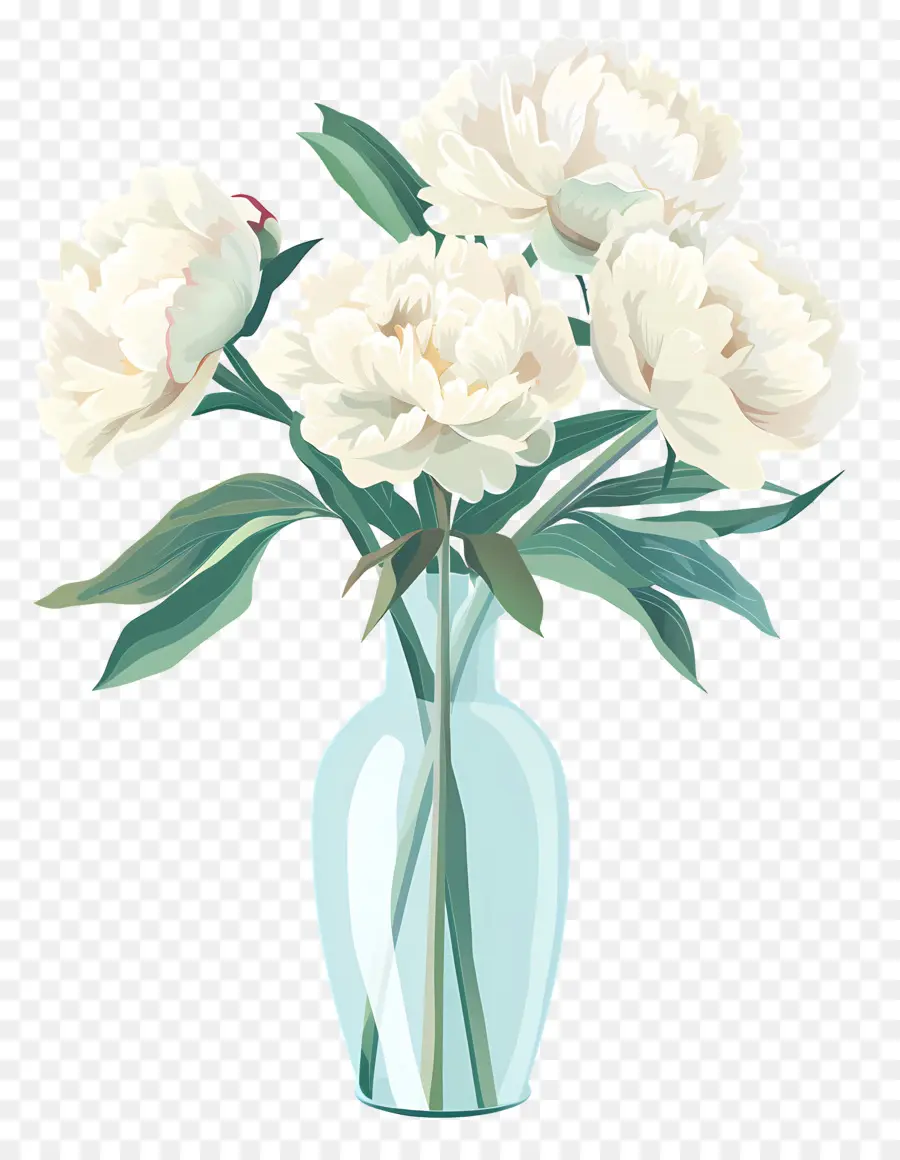 Pivoines Blanches，Fleurs Blanches PNG