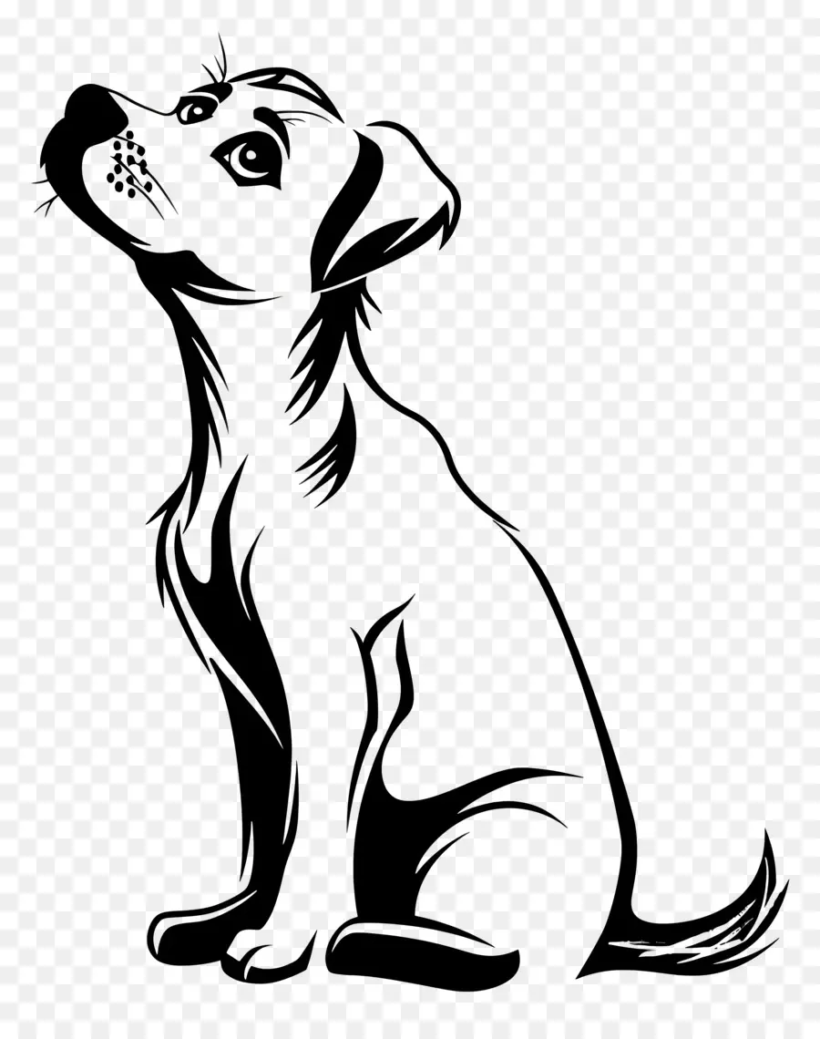 Contour Du Chien，Chien PNG