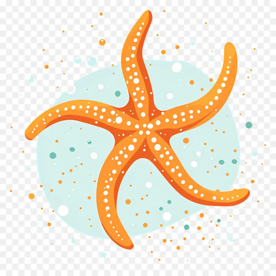 Étoile De Mer，Étoile De Mer Orange PNG