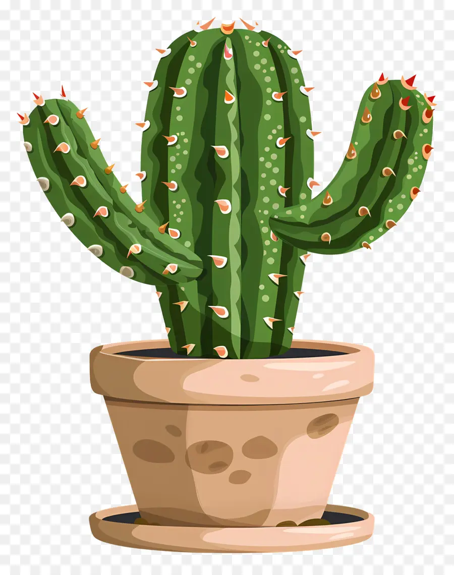 Cactus En Pot，Cactus PNG