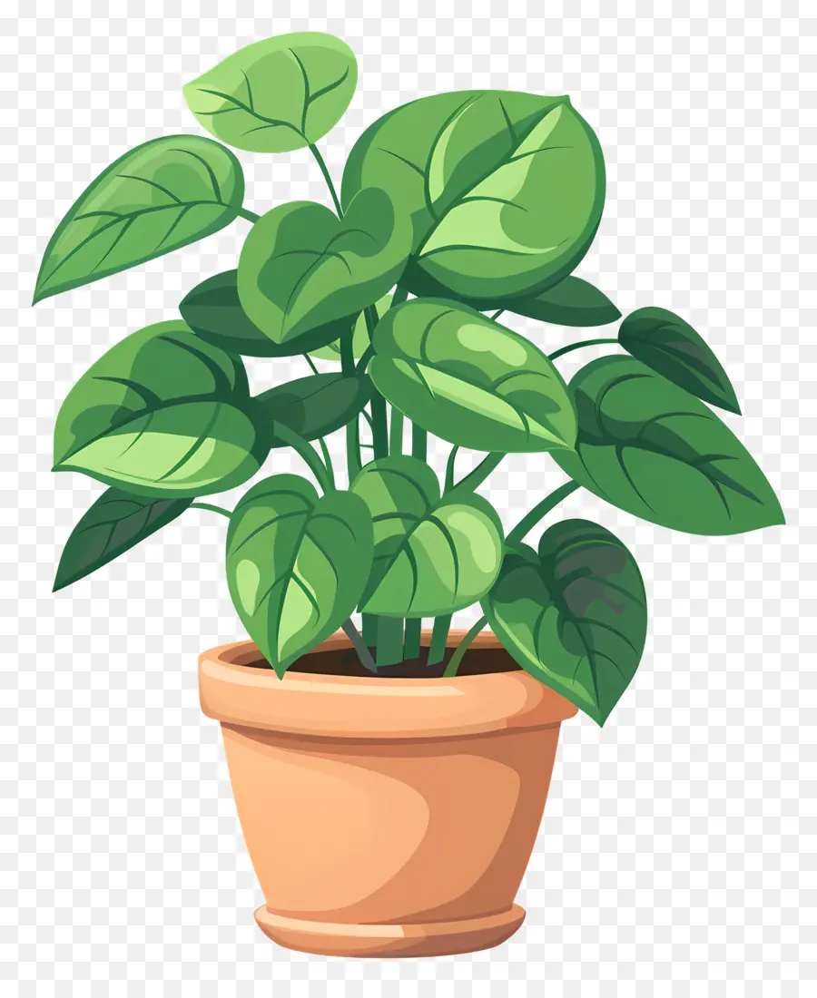 Plante En Pot，Feuilles PNG