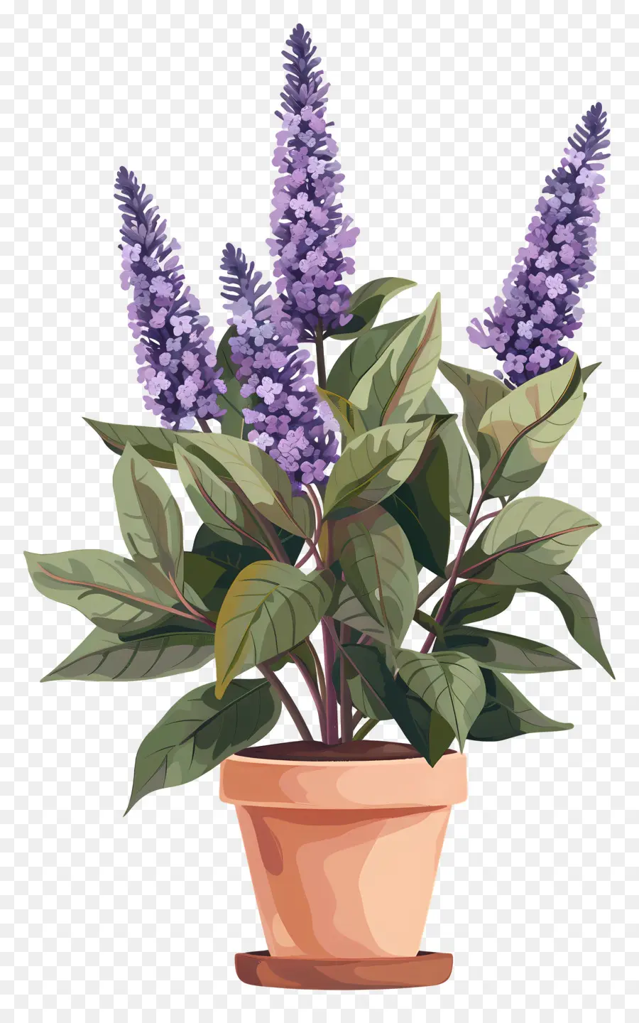 Fleurs Lilas，Plante En Pot PNG