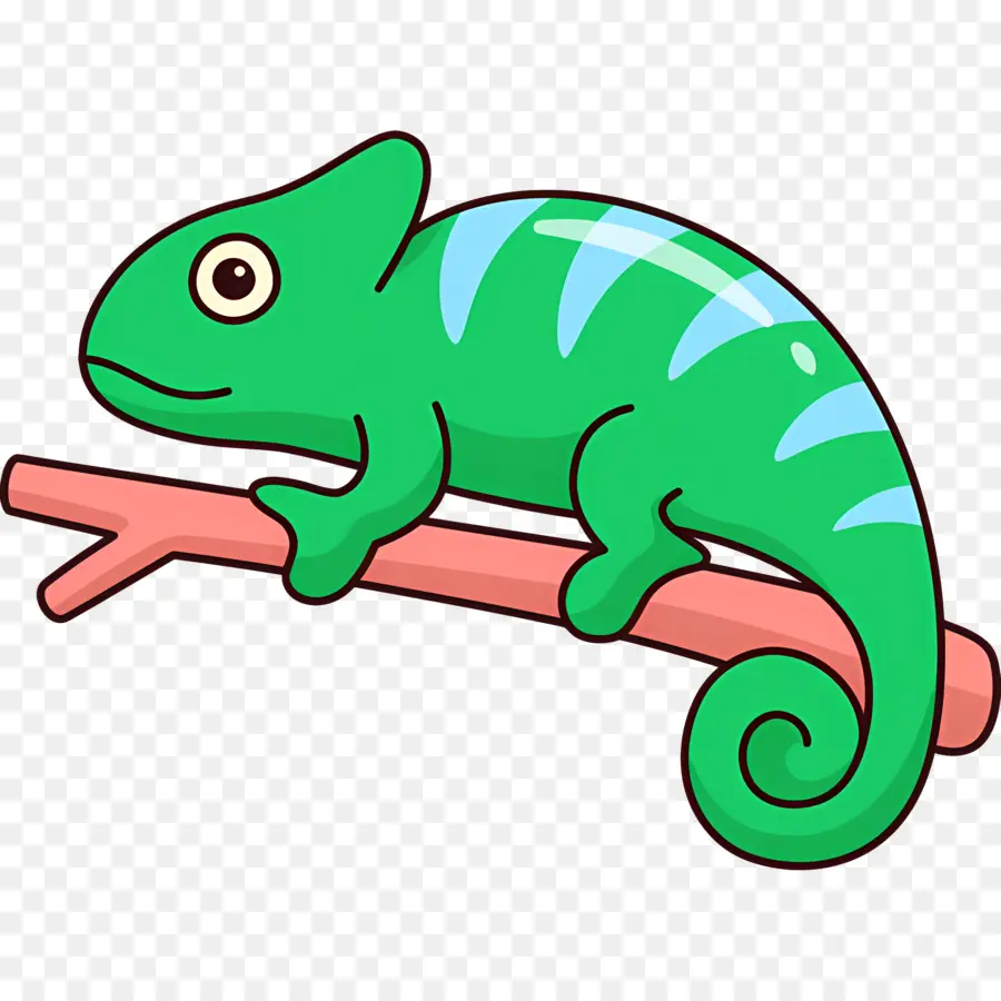 Caméléon，Reptile PNG