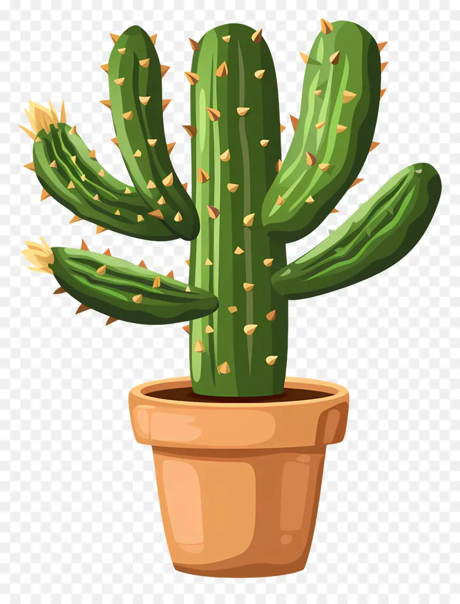 Cactus En Pot，Cactus PNG