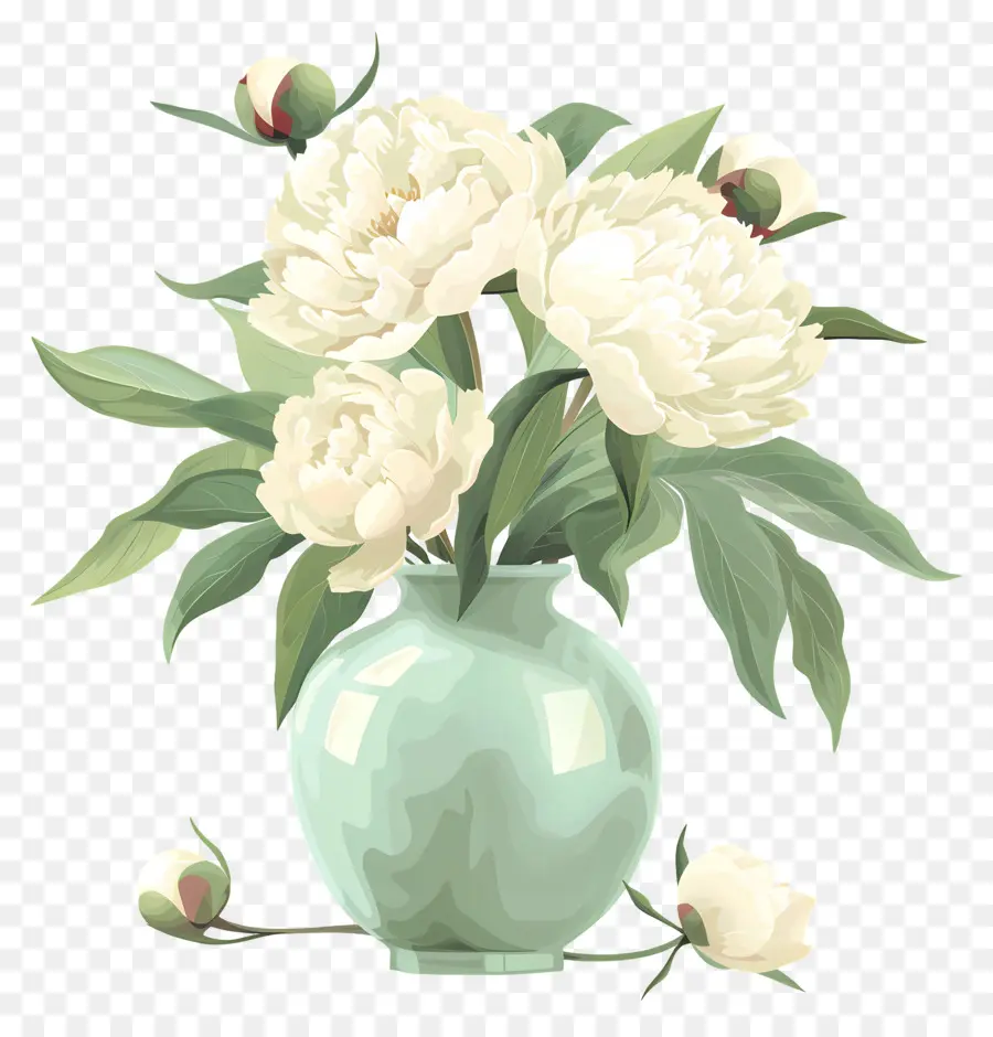 Blanc Pivoines，Fleurs PNG