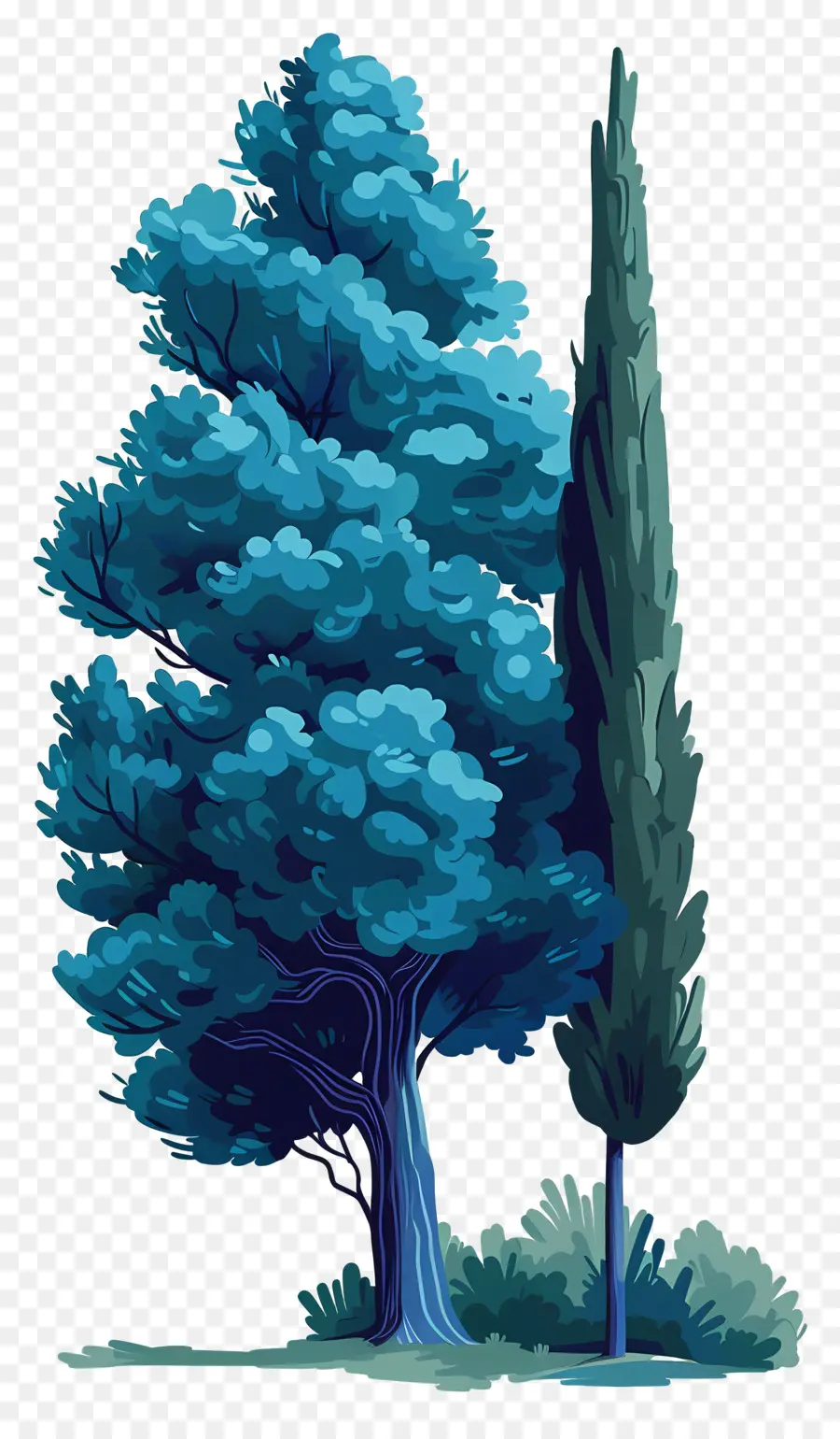 Cyprès，Arbre Bleu PNG