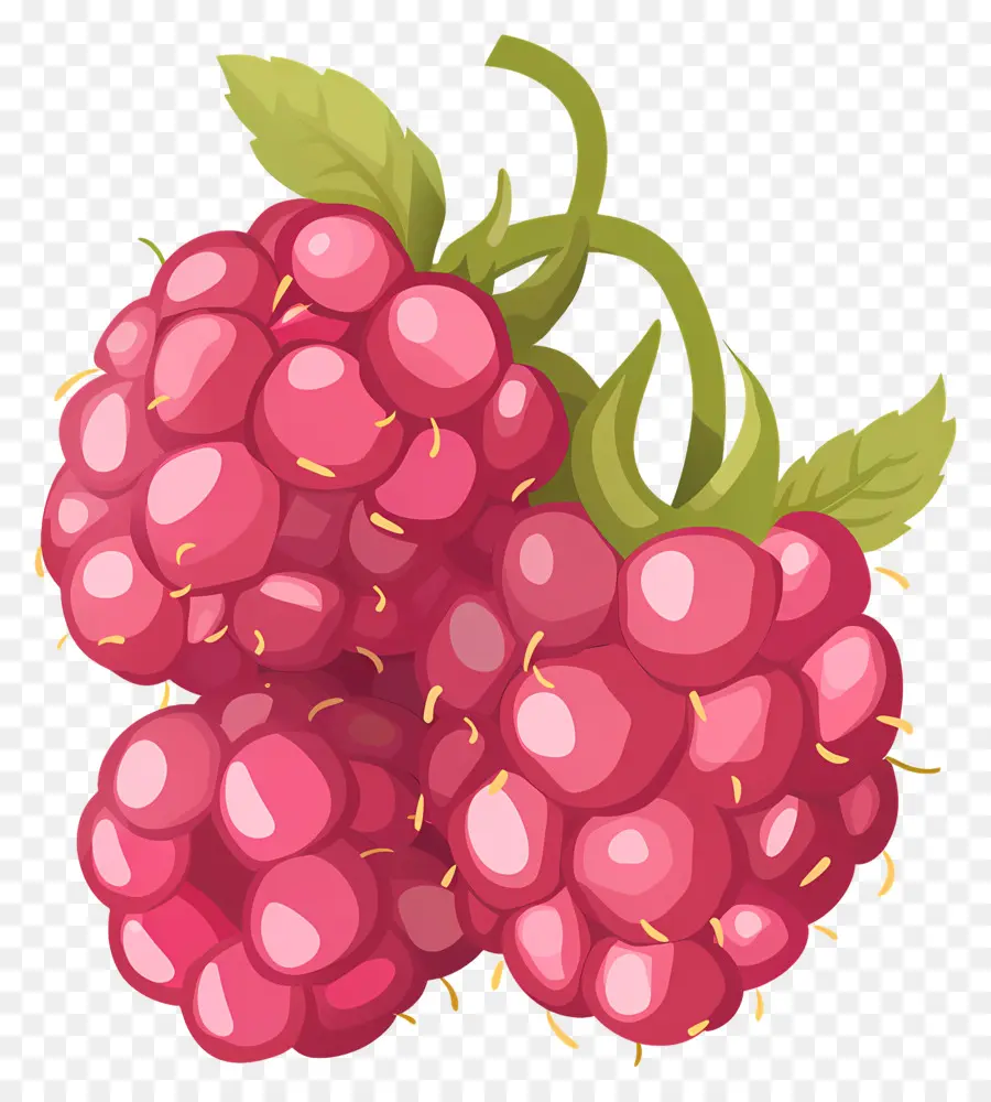 Framboises，Fruits PNG