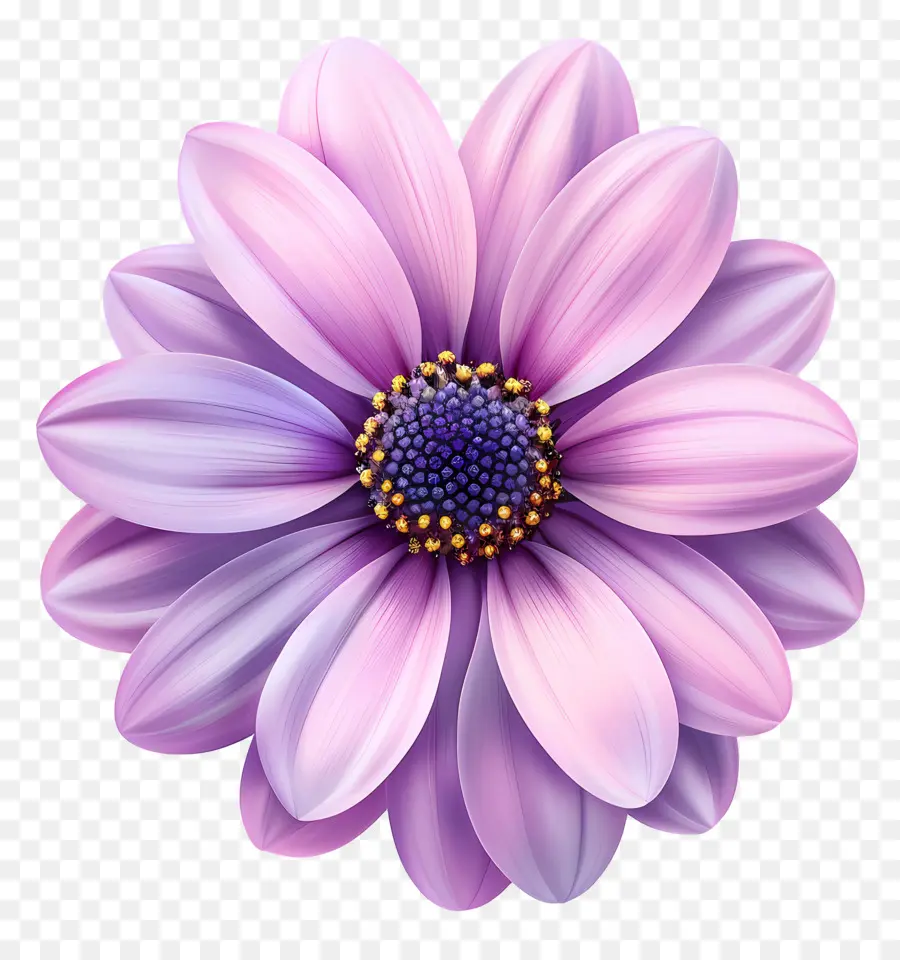 Fleur，Fleurir PNG