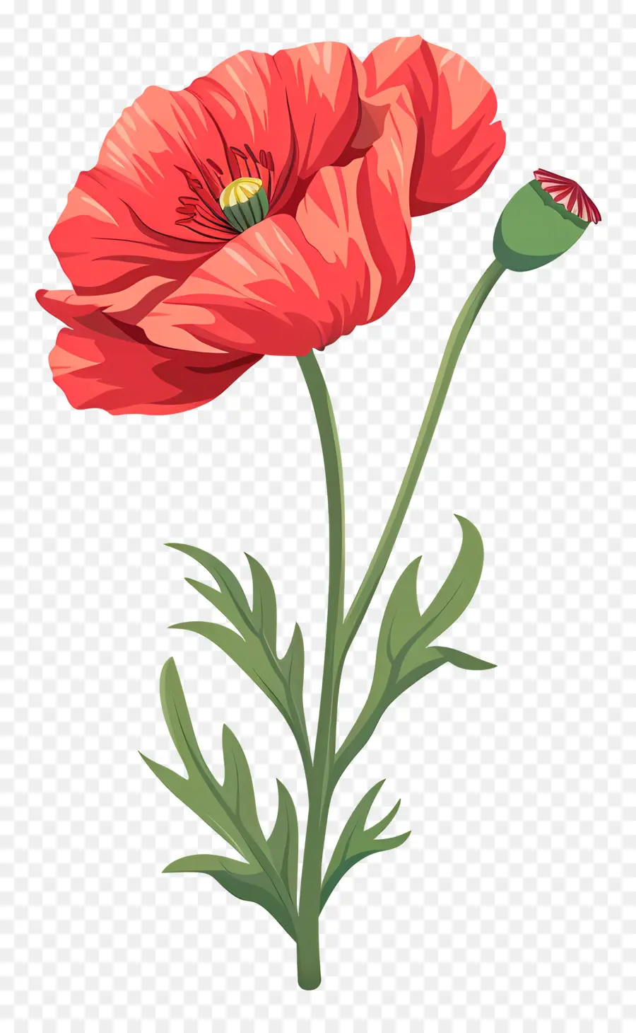 Fleur De Pavot，Fleur De Coquelicot Rouge PNG