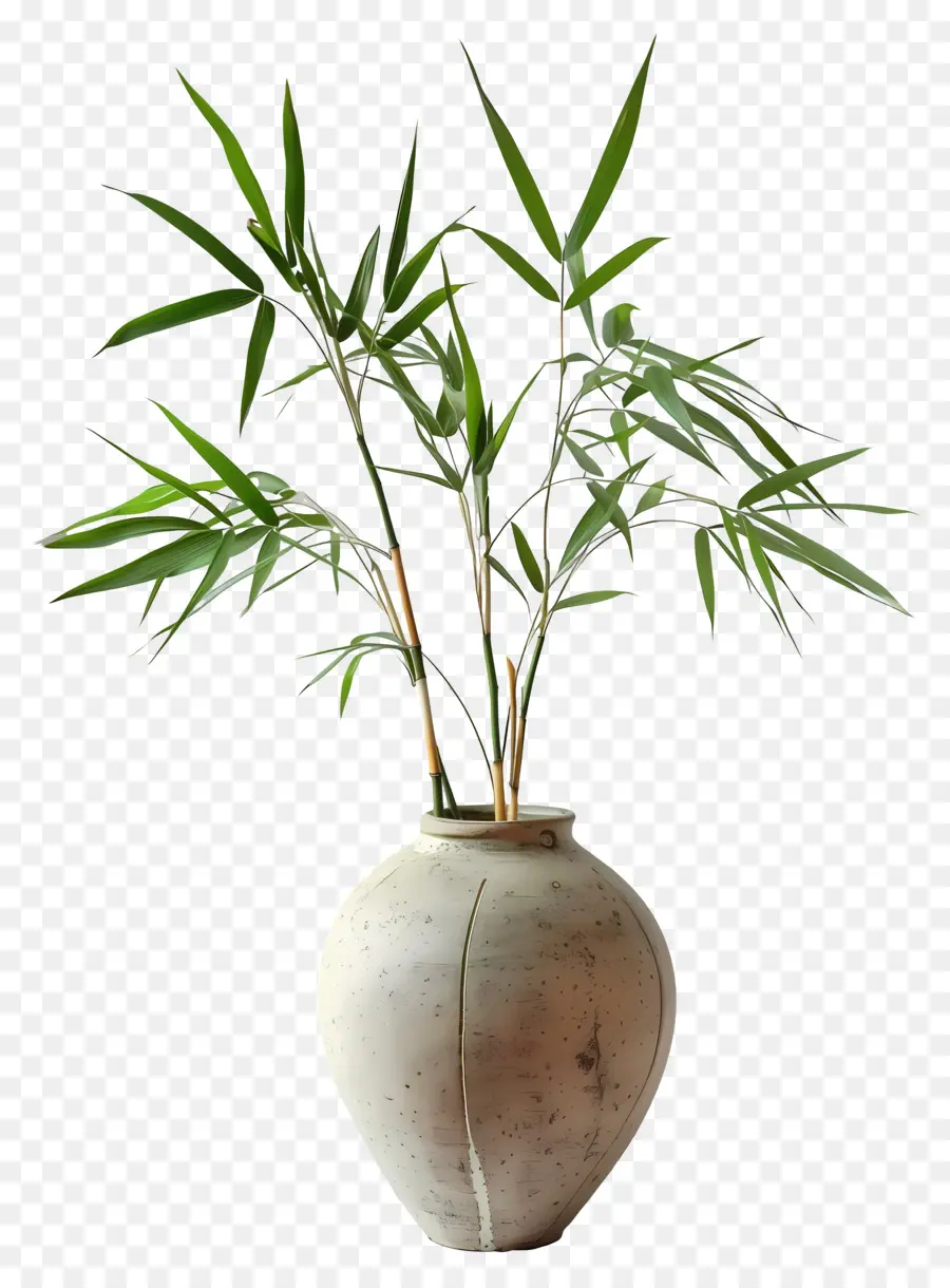 Bambou Dans Un Vase，Vase Avec Branches PNG