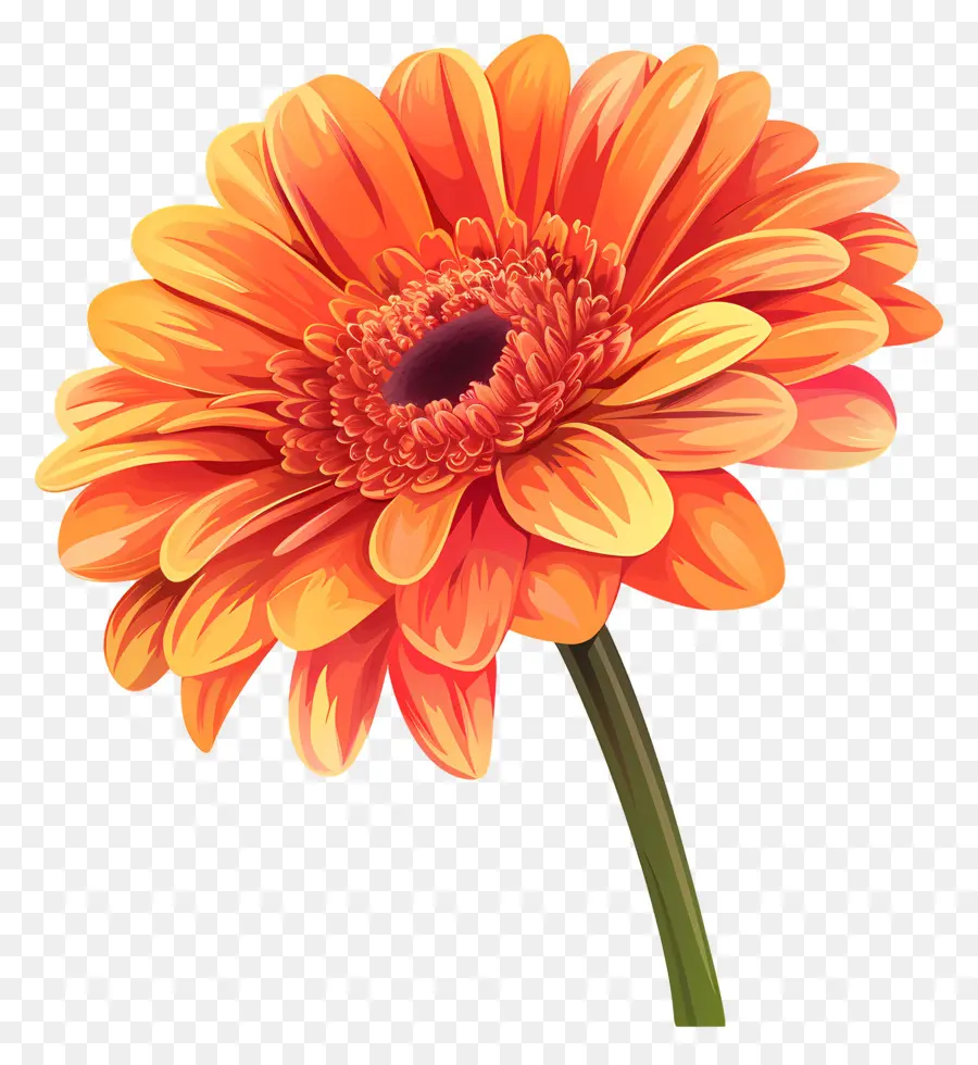 Fleur De Daisy Gerbera，Marguerite Orange PNG