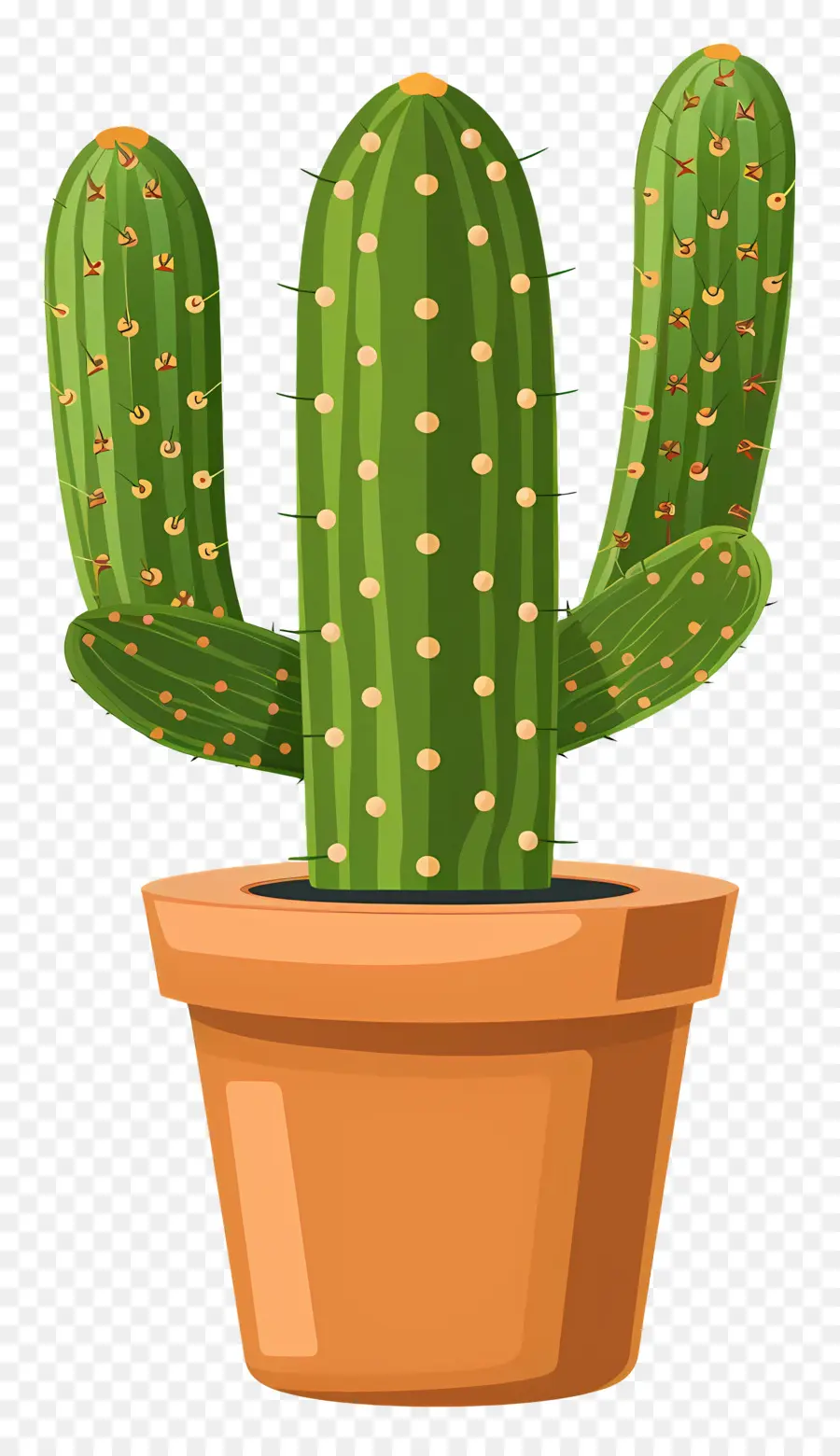 Cactus En Pot，Cactus PNG