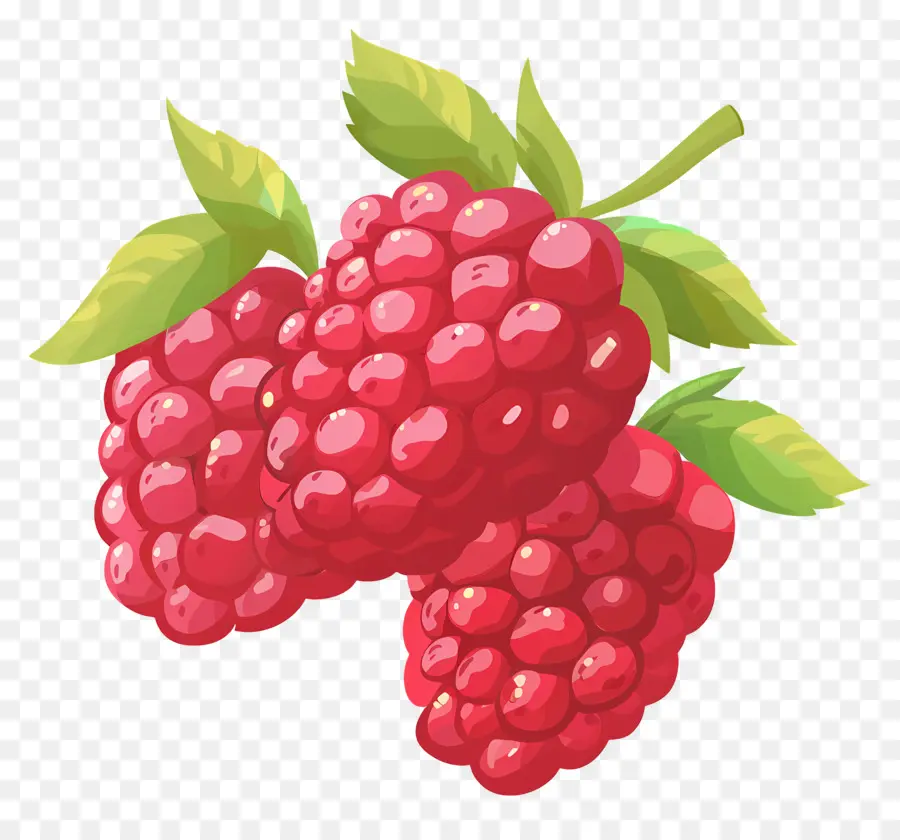 Framboises，Fruits PNG