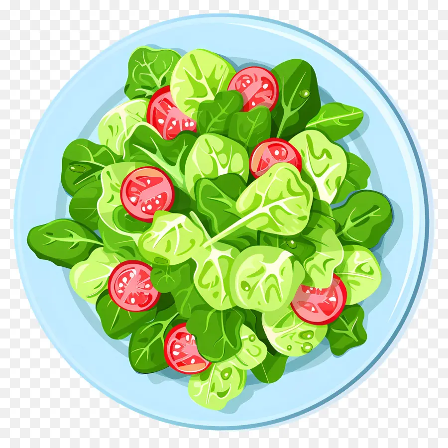 Salade Verte，Salade PNG