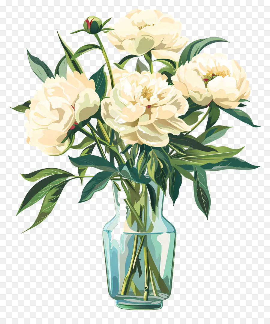 Pivoines Blanches，Fleurs Beiges PNG