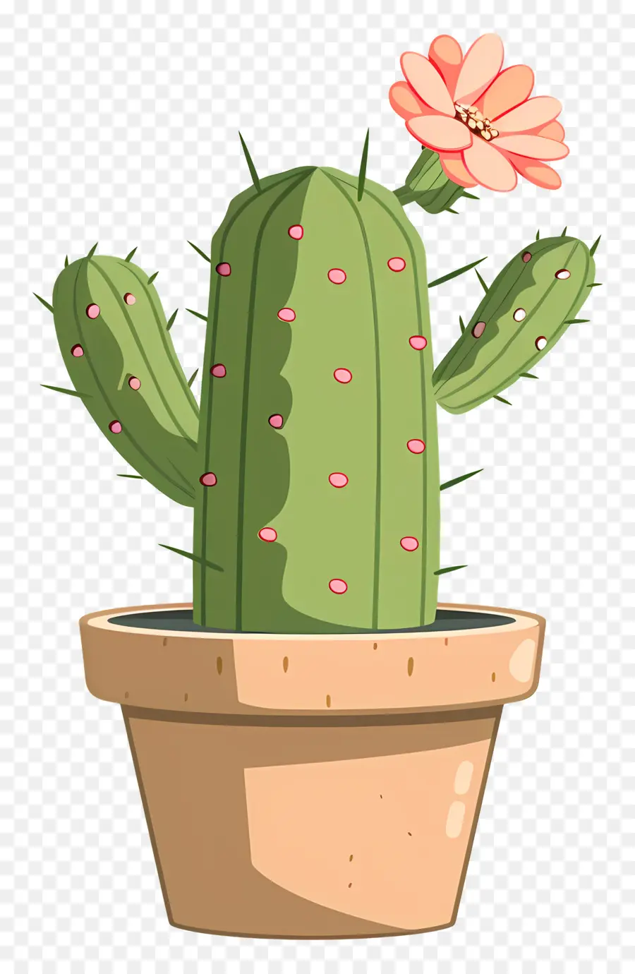 Cactus，Succulent PNG