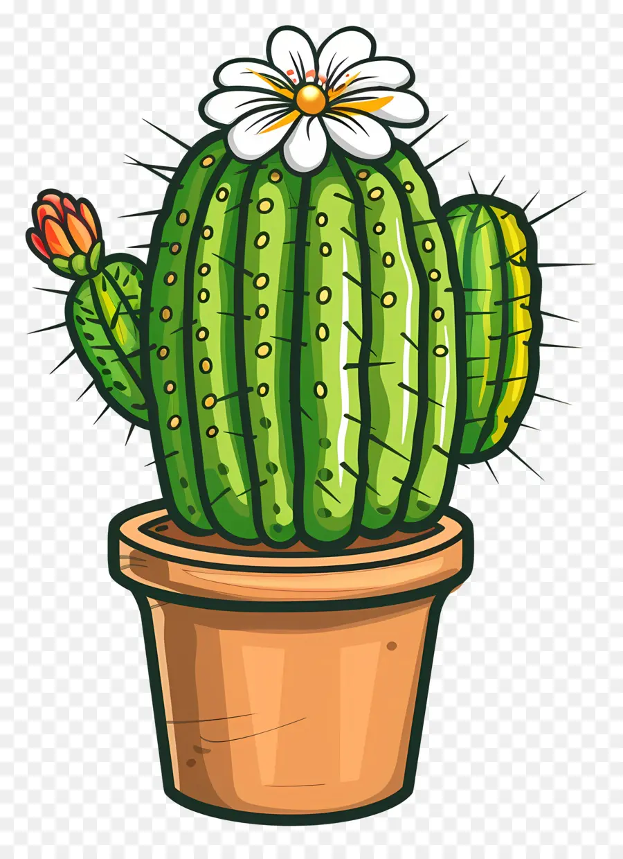 Cactus，Cactus PNG