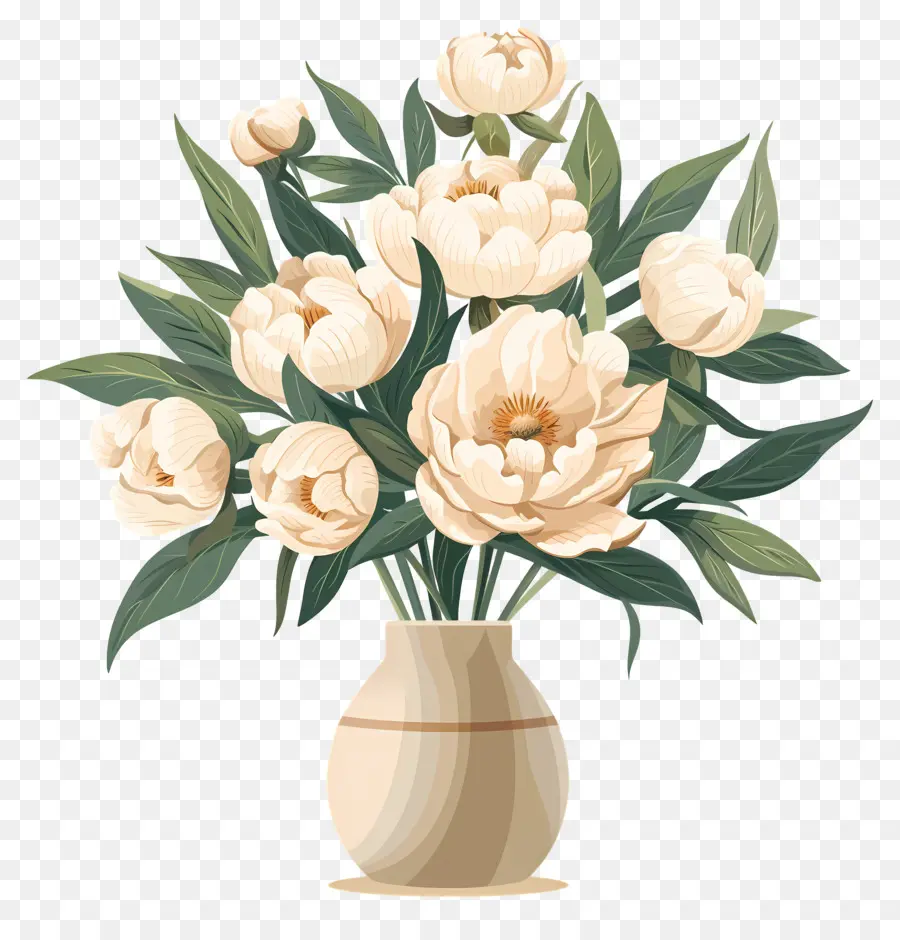 Pivoines Blanches，Fleurs Beiges PNG